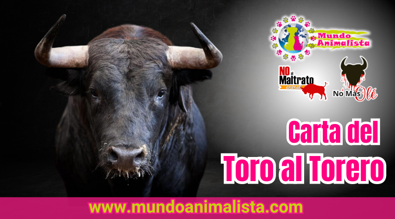 Carta de un toro al torero